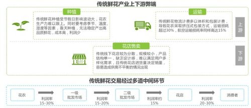 花花世界 從“禮品花”到“日?；ā?，看鮮花零售業的華麗轉身
